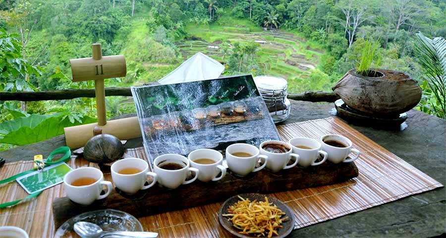 Bali Coffee Plantations | Luwak Coffee - Places to Visit