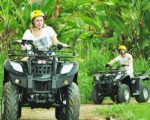 pertiwi quad adventure bali